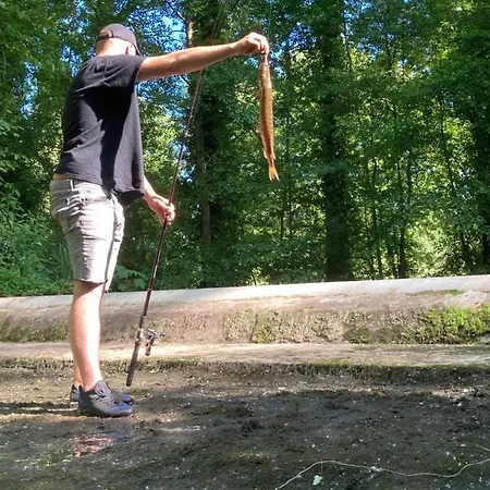 Gite Les Galinettes Au Bord De La Riviere * Crécy-sur-Serre